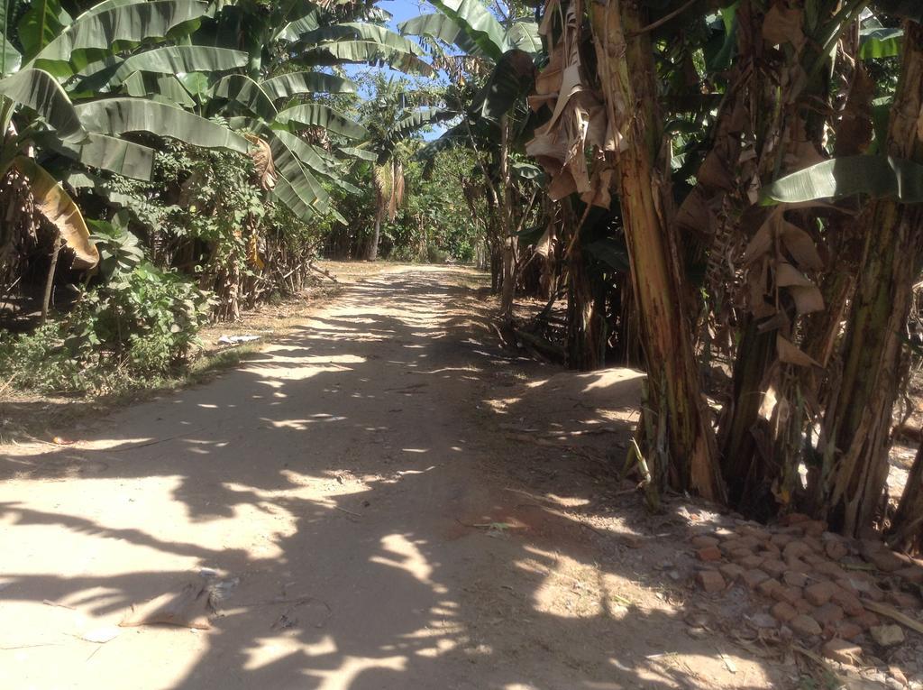 Rasti Homestay Kuta  Exteriér fotografie